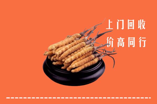 泰安东平回收散虫草